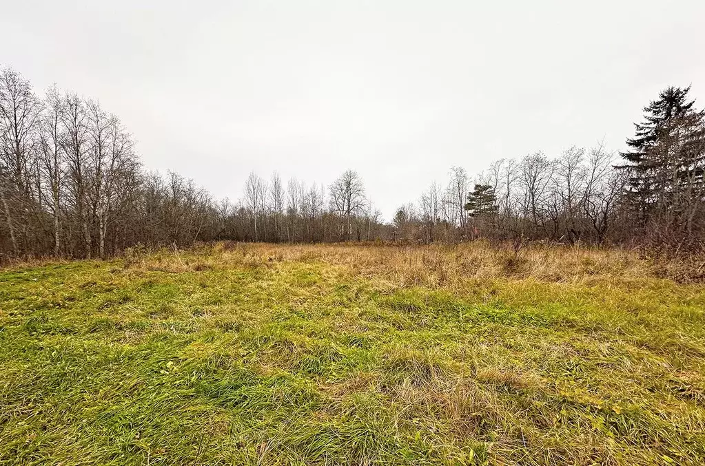 Участок в Ленинградская область, Ломоносовский район, Ропшинское с/пос ... - Фото 2