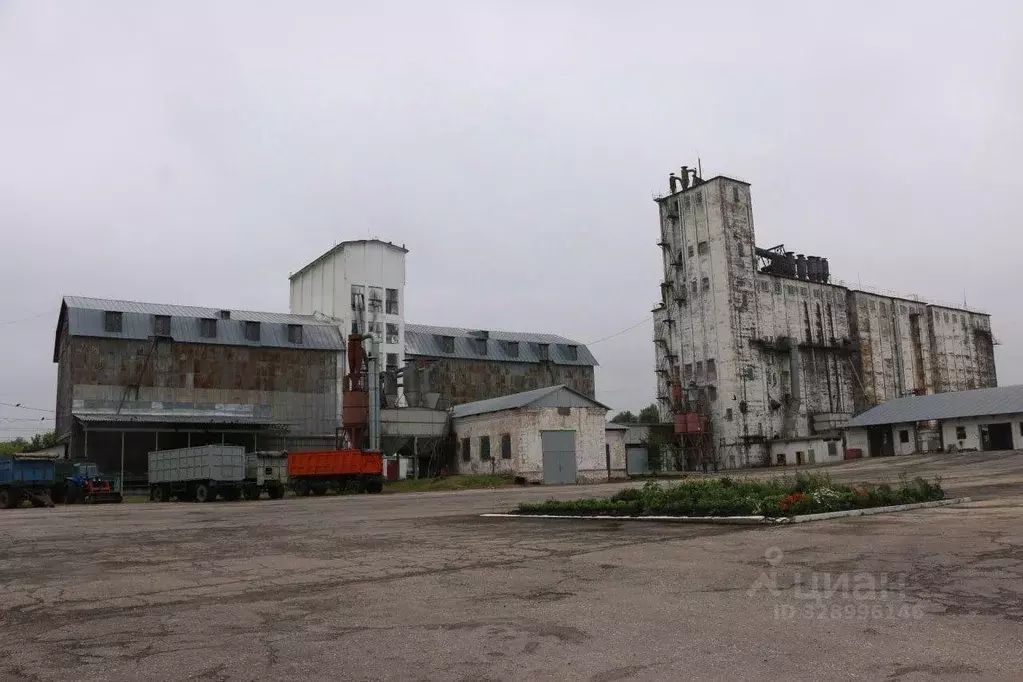 Производственное помещение в Саратовская область, Екатериновка рп ул. ... - Фото 1