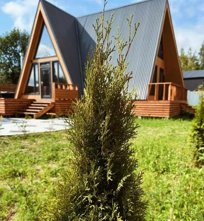 Дом в Московская область, Коломна городской округ, с. Акатьево ул. ... - Фото 2