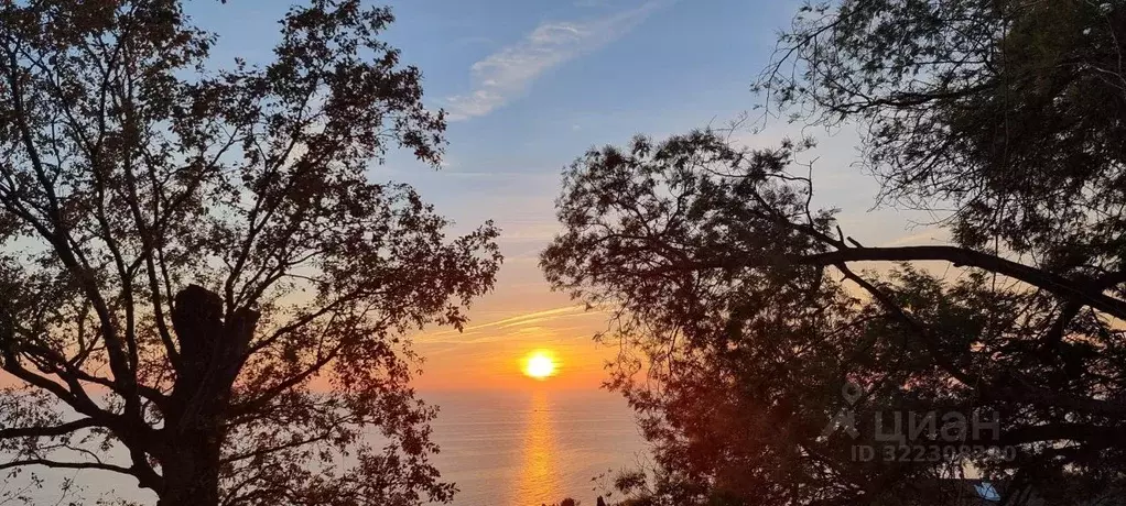 Участок в Краснодарский край, Сочи Новороссийское ш., 6/8 (8.0 сот.) - Фото 1