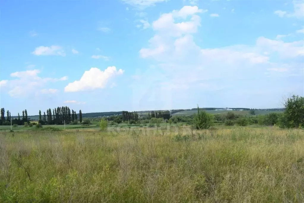 Участок в Воронежская область, Семилукский район, с. Губарево ... - Фото 0