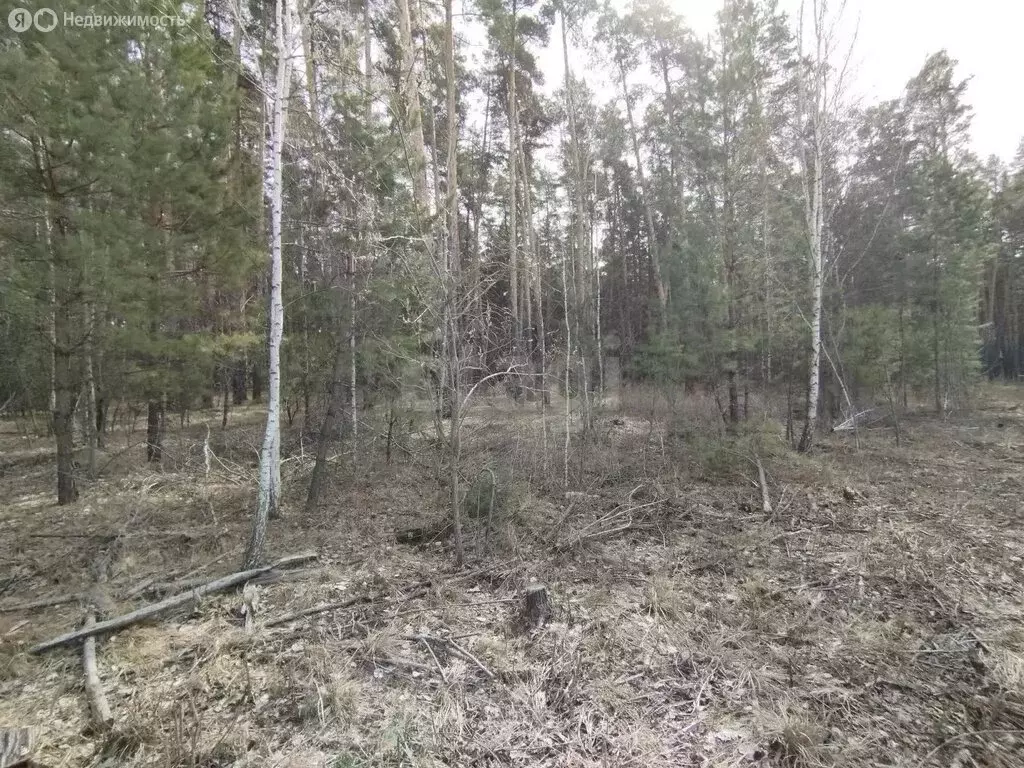 Участок в село Лесниково, СНТ Сосна (8 м) - Фото 2