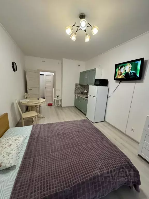 Студия Санкт-Петербург аллея Арцеуловская, 21 (25.0 м) - Фото 0