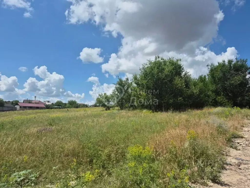 Участок в Волгоградская область, Городищенский район, Царицынское ... - Фото 1