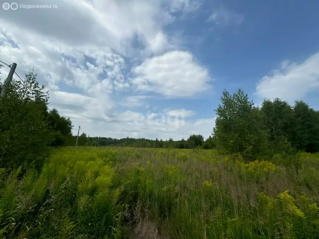 Участок в Нижегородская область, Городецкий муниципальный округ, ... - Фото 1