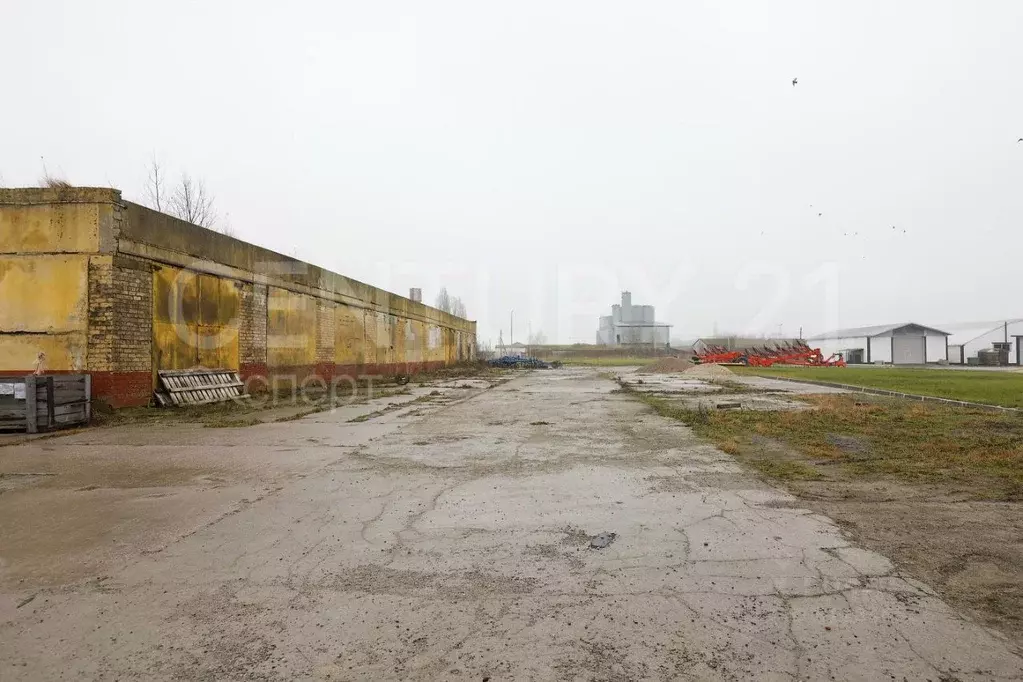 Помещение свободного назначения в Калининградская область, ... - Фото 1