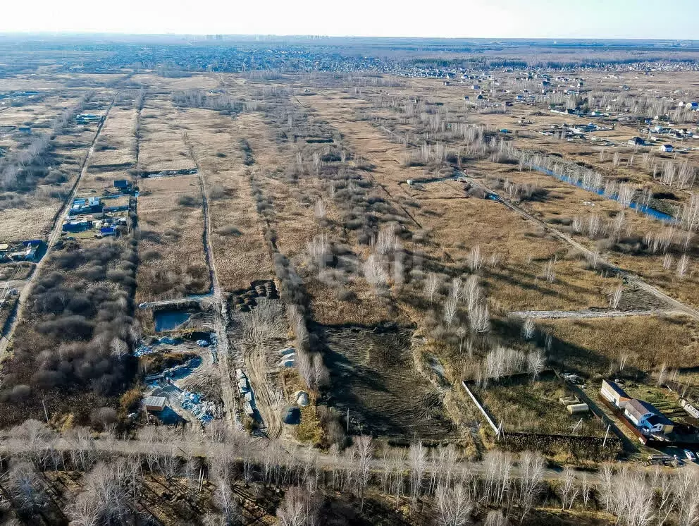 Участок в Тюмень, садовое товарищество Поле Чудес, Лазурная улица ... - Фото 2