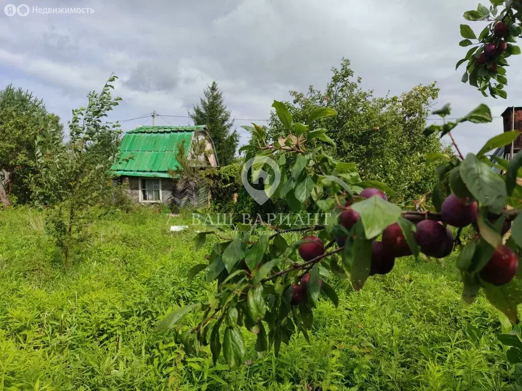 Дом в Ярославская область, Рыбинский муниципальный округ, деревня ... - Фото 2
