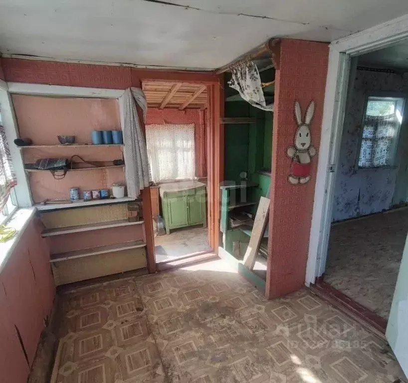 Дом в Брянская область, Брянск Мичуринец садовое общество,  (36 м) - Фото 1