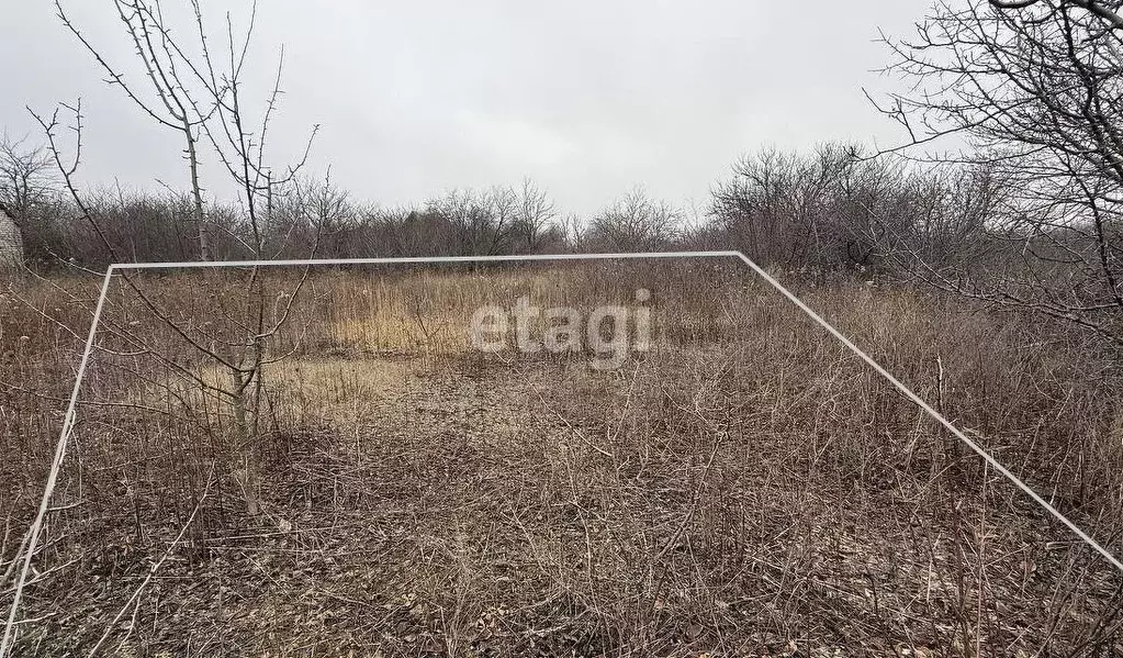 Участок в Белгородская область, Губкин Журавушка СТ,  (6.0 сот.) - Фото 0