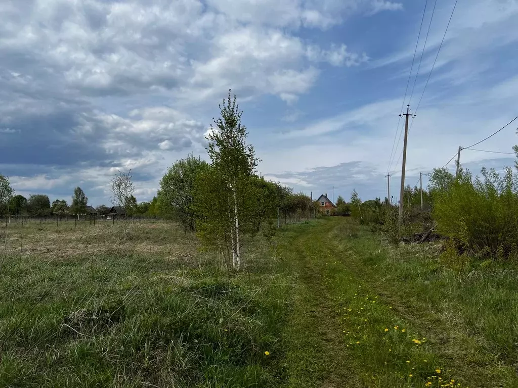 Участок в Калужская область, Дзержинский район, Рудня с/пос, д. Матово ... - Фото 2