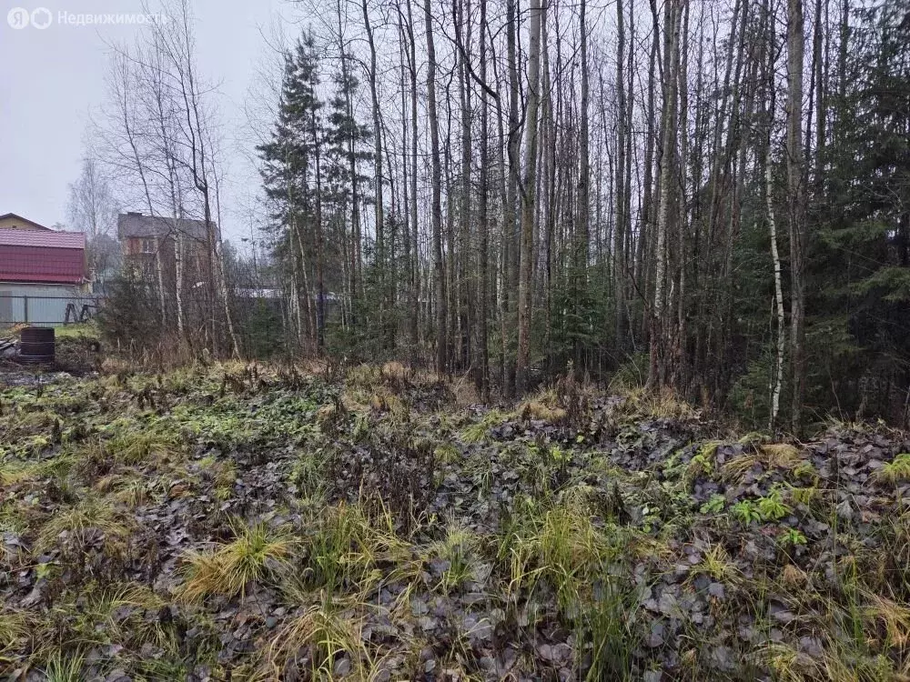 Участок в Медведевский район, Сидоровское сельское поселение, деревня ... - Фото 2