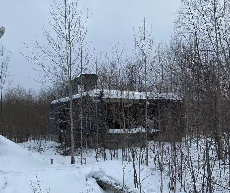 Дом в Сахалинская область, Поронайский городской округ, с. Восток ул. ... - Фото 1