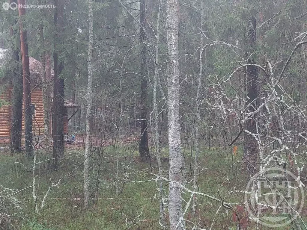 Участок в Вырица, улица Куйбышева (64 м) - Фото 2