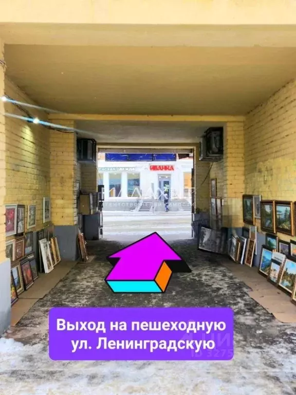 5-к кв. Самарская область, Самара ул. Фрунзе, 101А (120.0 м) - Фото 2