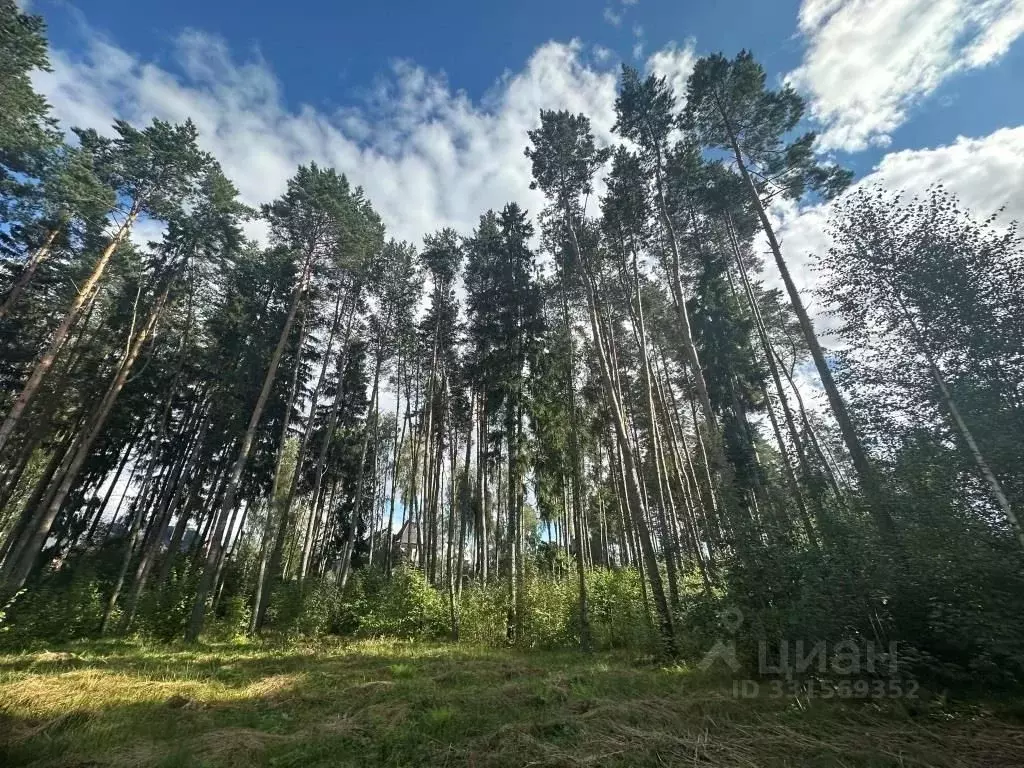 Участок в Московская область, Химки Новогорск-7 кп,  (8.0 сот.) - Фото 1