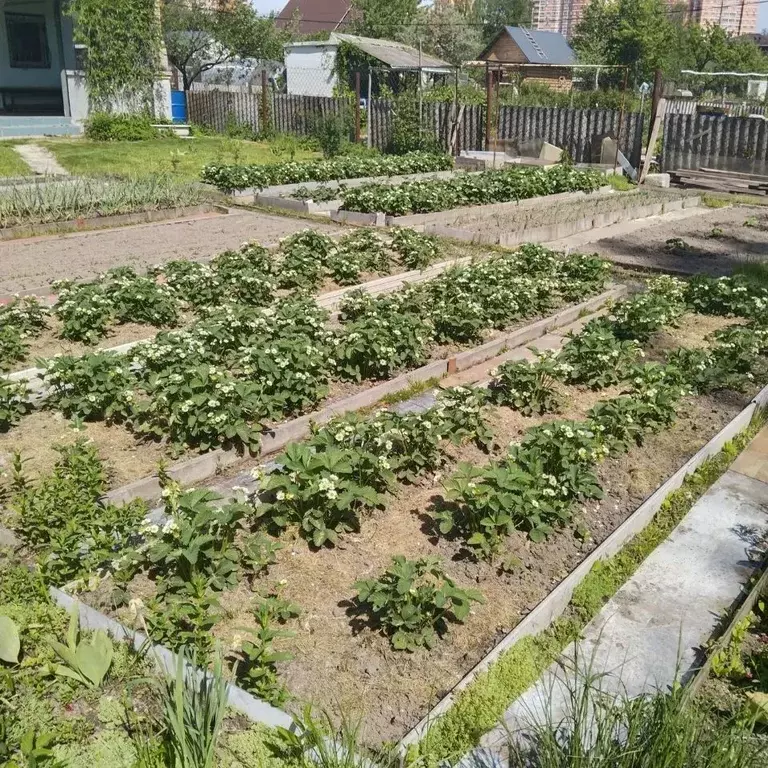 Участок в Московская область, Щелково Навигатор СНТ,  (6.75 сот.) - Фото 2