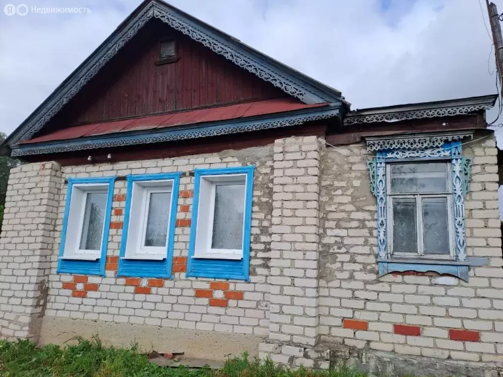 Дом в Нижегородская область, муниципальный округ Перевозский, деревня ... - Фото 0