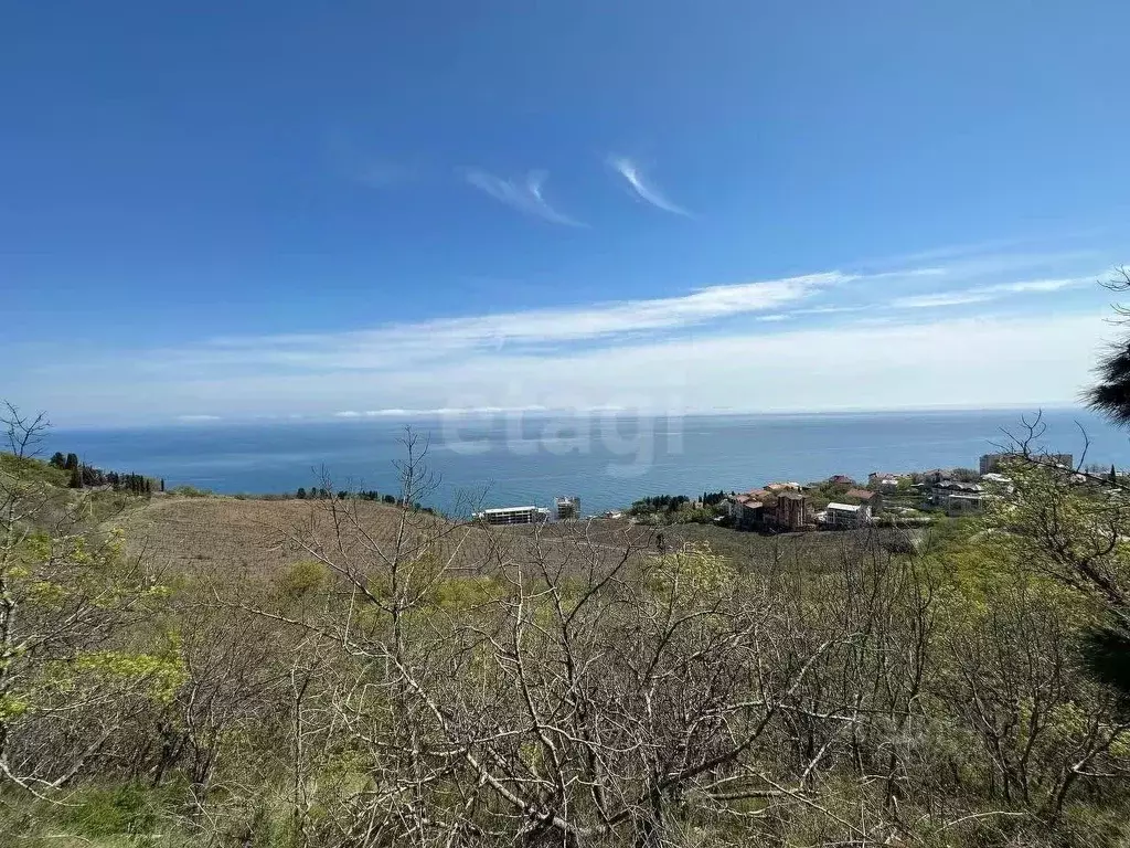 Участок в Крым, Алушта муниципальный округ, с. Лазурное  (25.0 сот.) - Фото 1