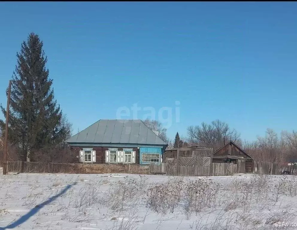 Дом в Алтайский край, Алтайский район, с. Нижнекаменка ул. Труда, 17А ... - Фото 1