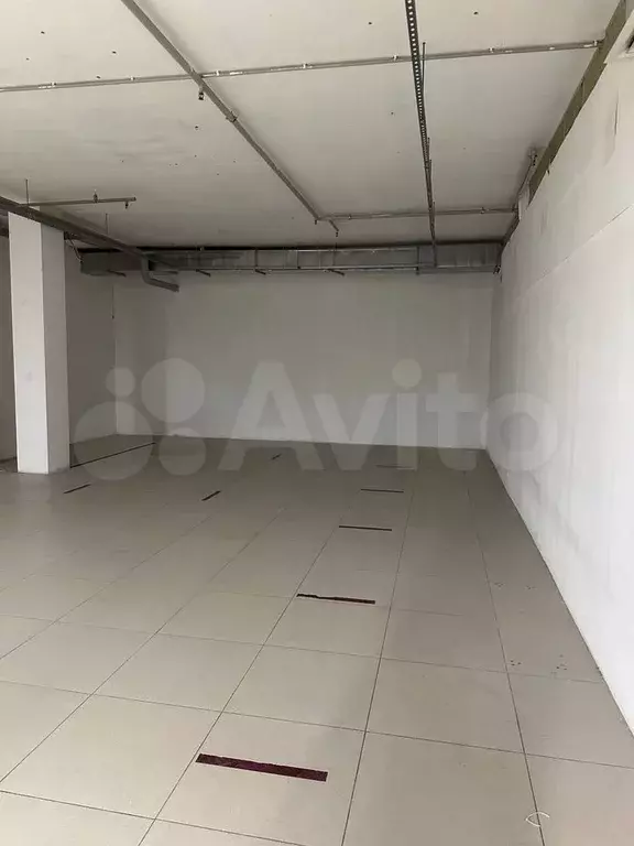 Торговая площадь, 50 м - Фото 1