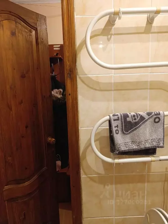 2-к кв. Санкт-Петербург просп. Металлистов, 102 (46.0 м) - Фото 2