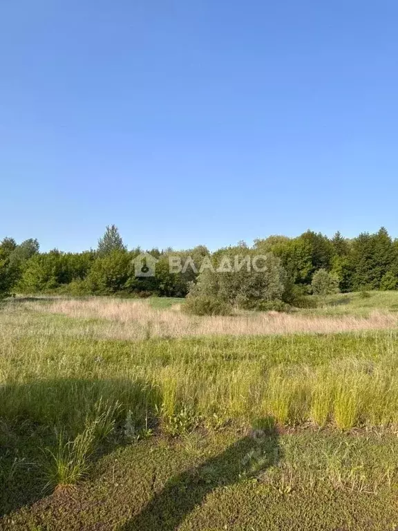 Участок в Воронежская область, с. Новая Усмань  (10.0 сот.) - Фото 0