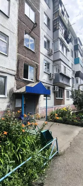 3-к кв. Оренбургская область, Оренбург ул. 60 лет Октября, 24 (56.0 м) - Фото 1