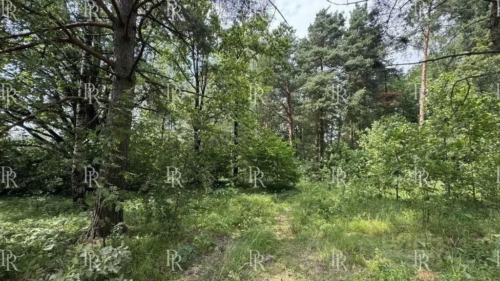 Участок в Московская область, Красногорск городской округ, с. ... - Фото 1