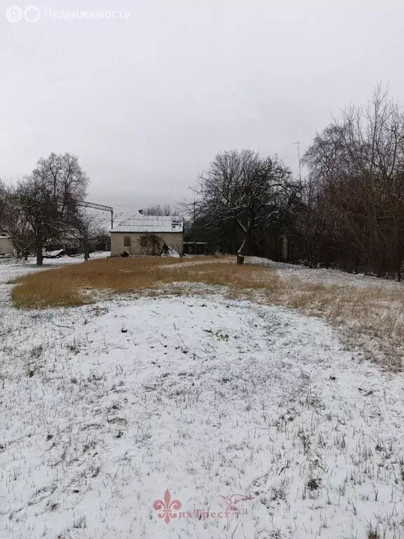 Участок в село Беломестное, Зелёная улица, 8 (15 м) - Фото 2