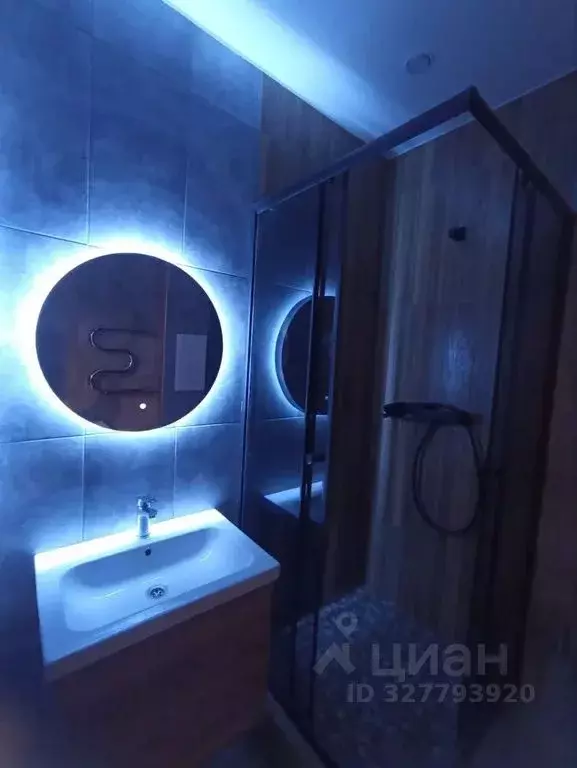 1-к кв. Псковская область, Псковский район, Завеличенская волость, д. ... - Фото 1