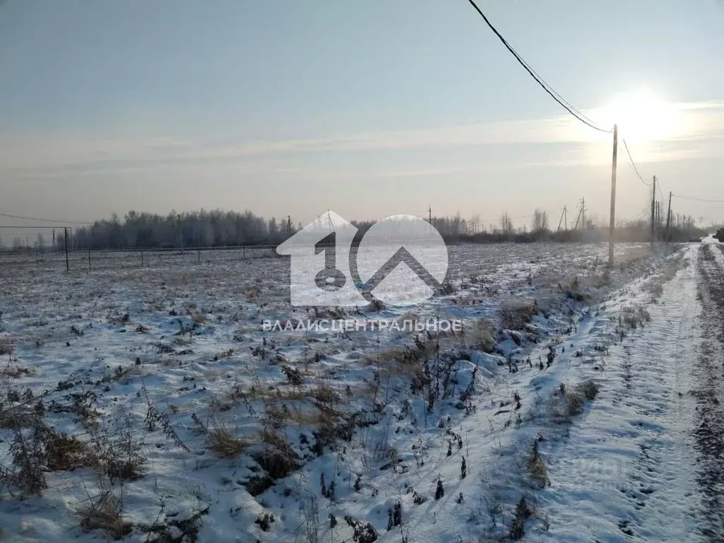 Участок в Новосибирская область, Новосибирский район, Криводановский ... - Фото 1