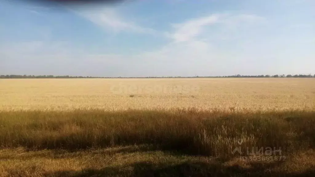 Участок в Крым, Нижнегорский район, с. Новогригорьевка ул. Садовая ... - Фото 1