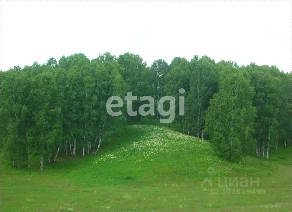 Участок в Красноярский край, Емельяновский район, Шуваевский ... - Фото 0