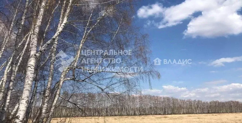 Участок в Рязанская область, Рязанский район, Дядьковское с/пос, д. ... - Фото 1