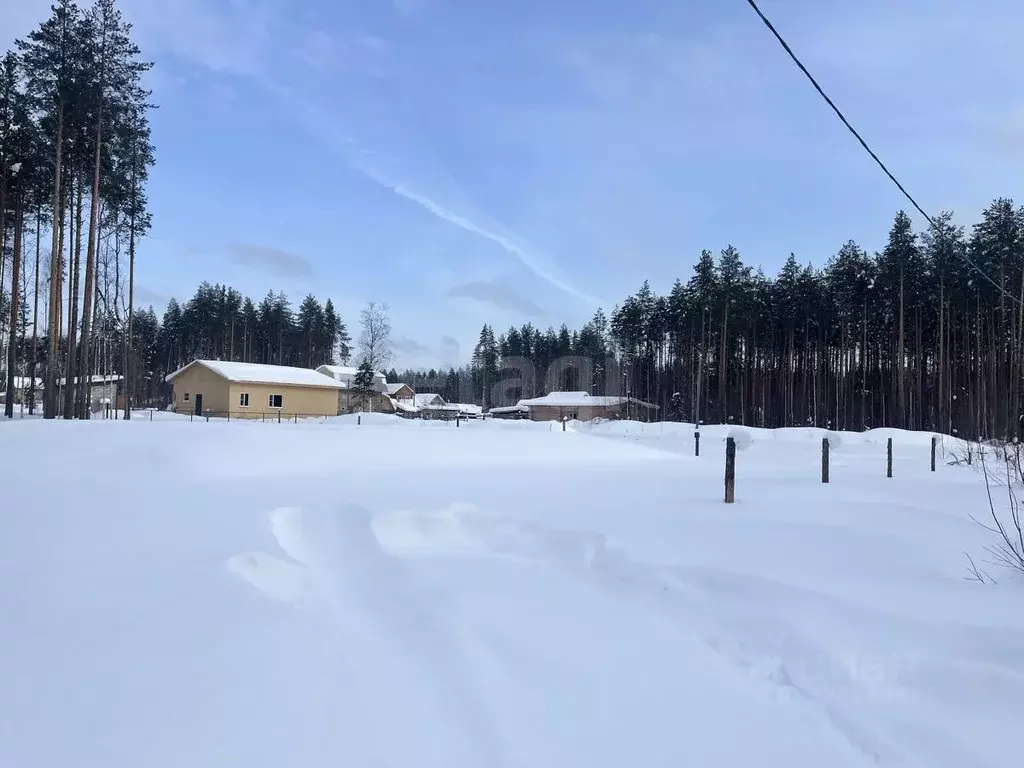 Участок в Коми, Сыктывкар городской округ, Краснозатонский пгт ул. ... - Фото 2