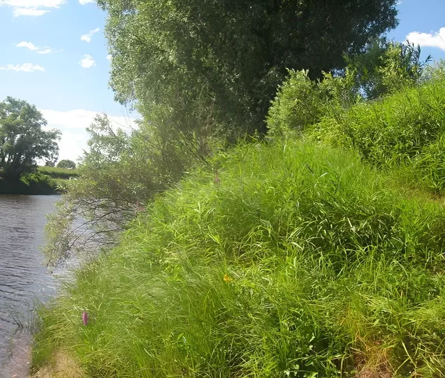 Участок в Новгородская область, Старая Русса  (15.0 сот.) - Фото 0
