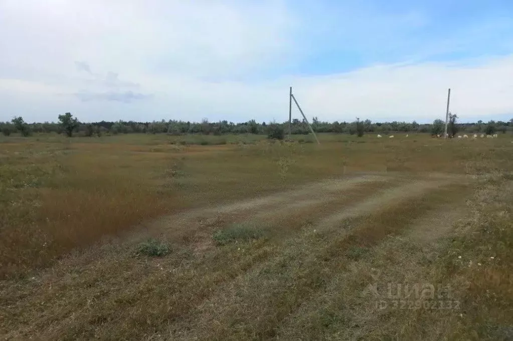 Участок в Крым, Ленинский район, Останинское с/пос, с. Песочное ул. ... - Фото 2