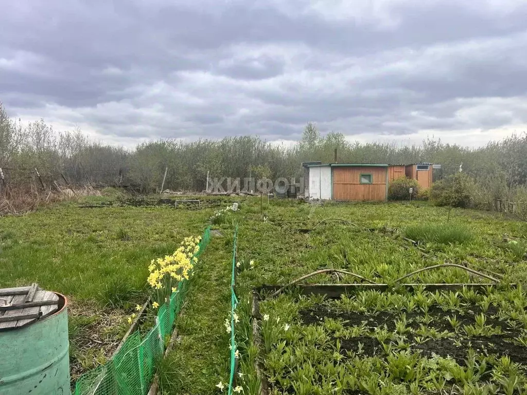 Дом в Новосибирская область, Искитим Связист садовое товарищество, ул. ... - Фото 0