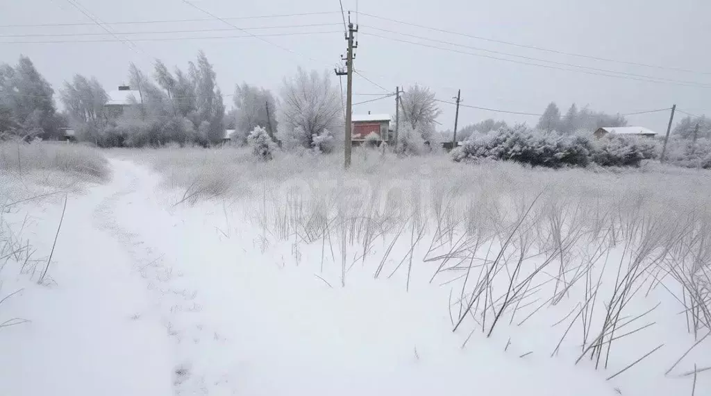 Участок в Тульская область, Тула городской округ, с. Маслово 109 (15.6 ... - Фото 2