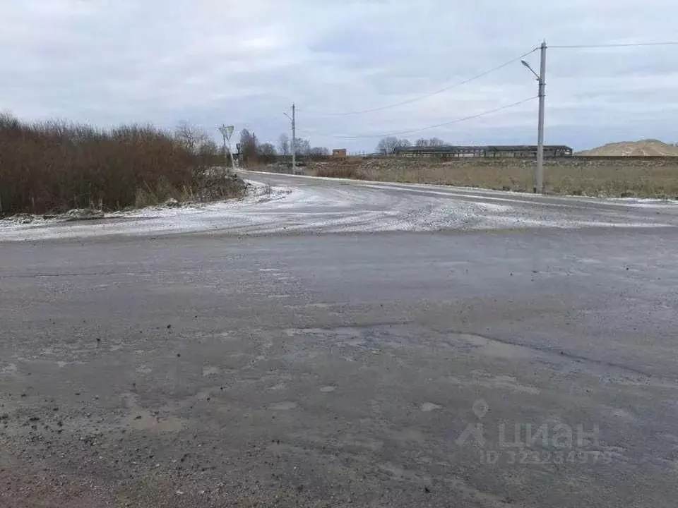 Участок в Псковская область, Псковский муниципальный округ, Тямшанская ... - Фото 2