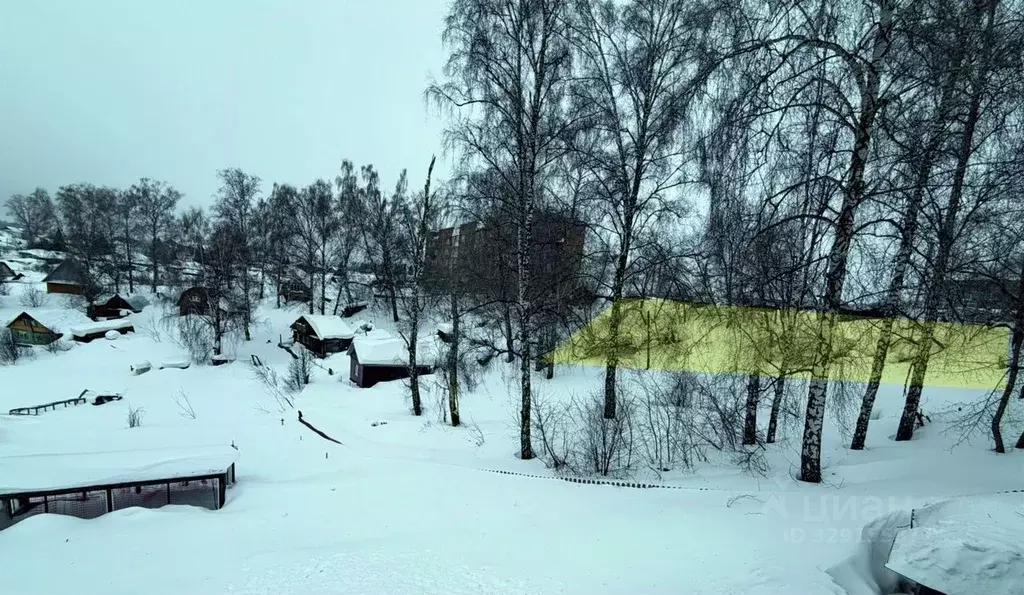 Участок в Новосибирская область, Новосибирский район, с. Раздольное ... - Фото 1