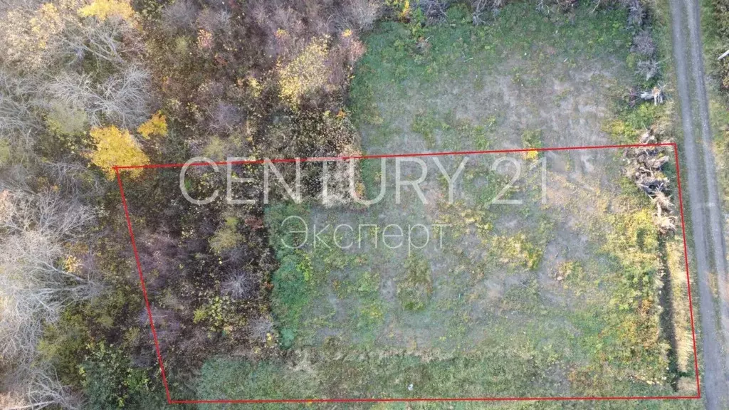 Участок в Калининградская область, Зеленоградский муниципальный округ, ... - Фото 1