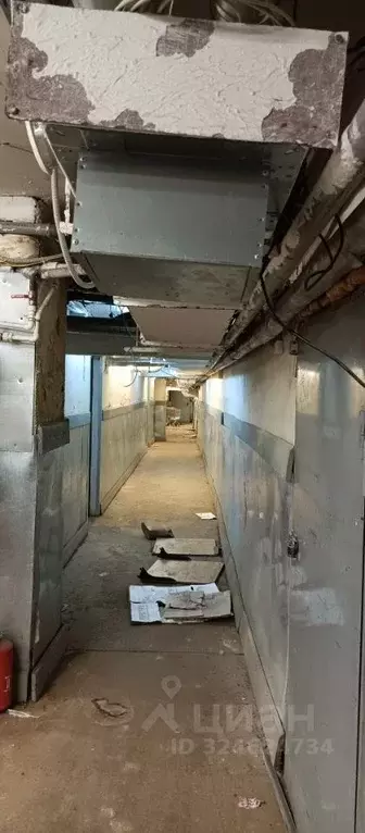 Помещение свободного назначения в Ярославская область, Ярославль ул. ... - Фото 2