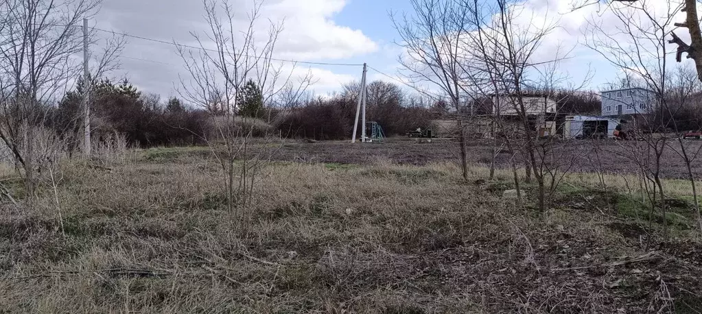 Участок в Ростовская область, Родионово-Несветайский район, ... - Фото 2