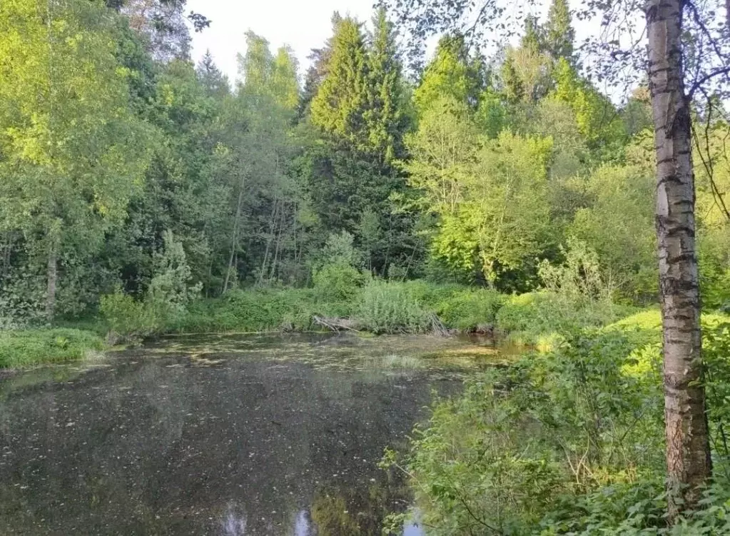 Участок в Московская область, Наро-Фоминский городской округ, ... - Фото 1