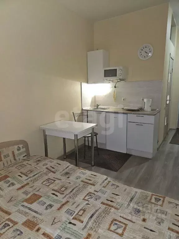 Студия Москва Рябиновая ул., 45К2 (17.3 м) - Фото 2