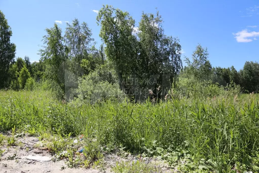 Участок 5,2 сот. (СНТ, ДНП) - Фото 1