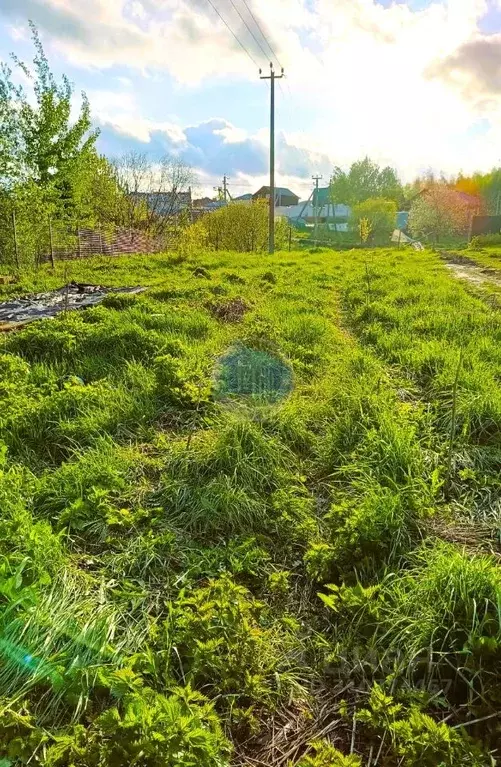 Участок в Московская область, Ленинский городской округ, д. Петрушино ... - Фото 0