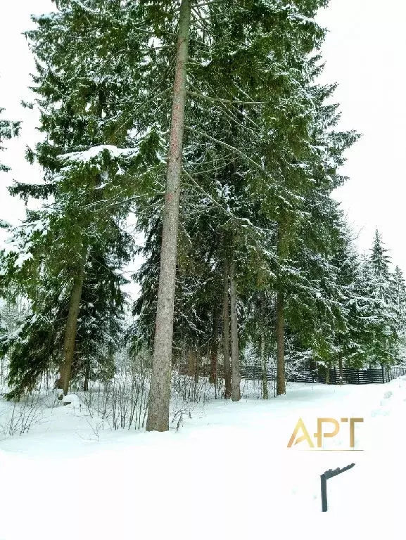 Продается участок в с. Луцино - Фото 0